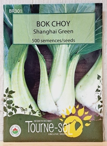 SEEDS - Bok Choy (Tourne-sol)